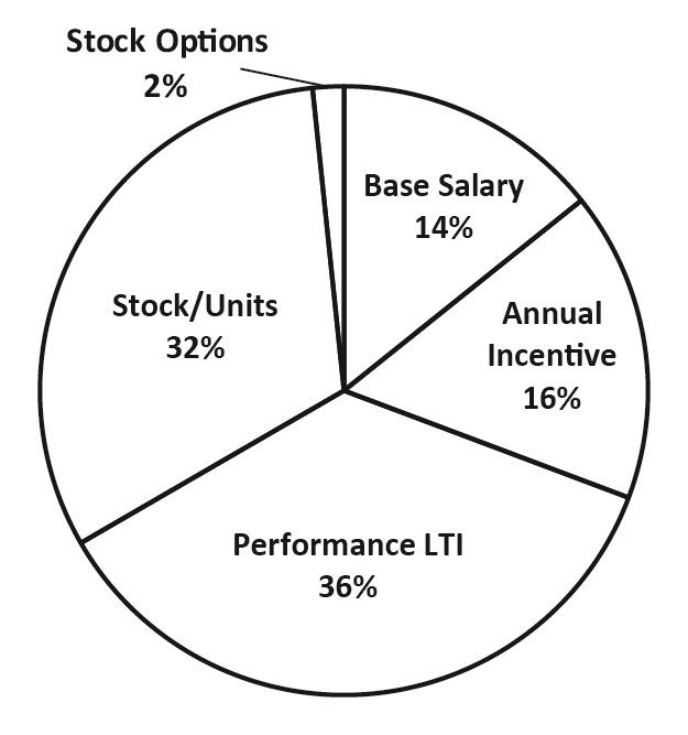 Peer Companies pie chart - Copy.jpg